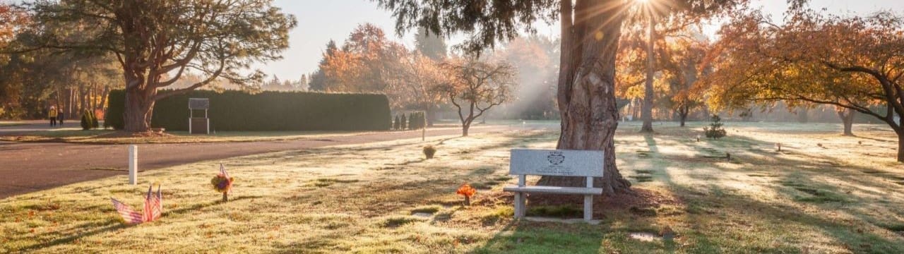 Memorial park at sunrise viewing a commemorative bench at the foot of a large shade tree in late summer.