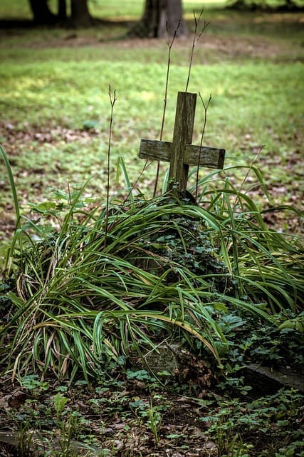Neglected grave site with an old wooden cross grave marker overgrown with foliage